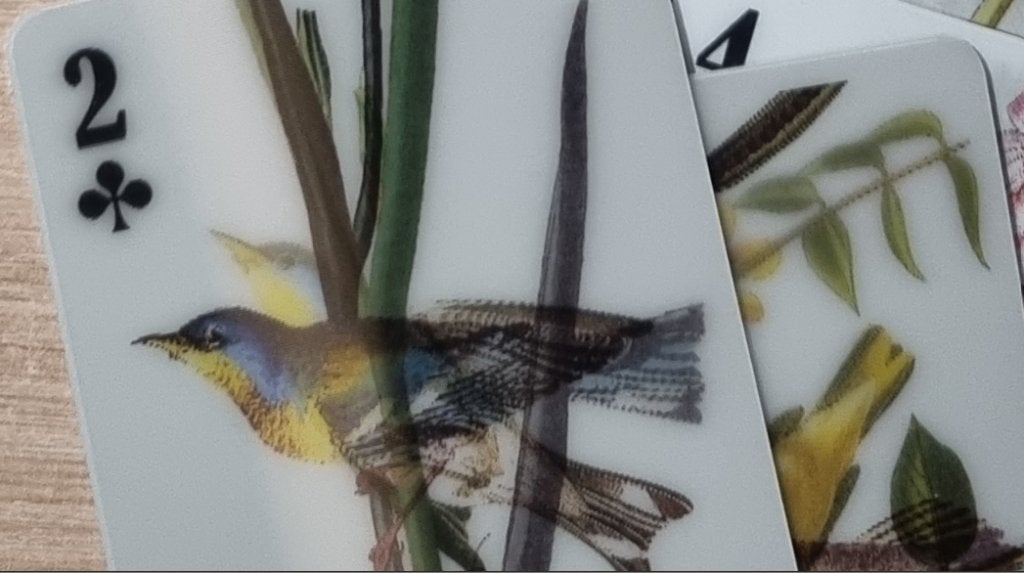 Kikkerland 3D speelkaarten vogels, Ophalen of Verzenden, Speelkaart(en)