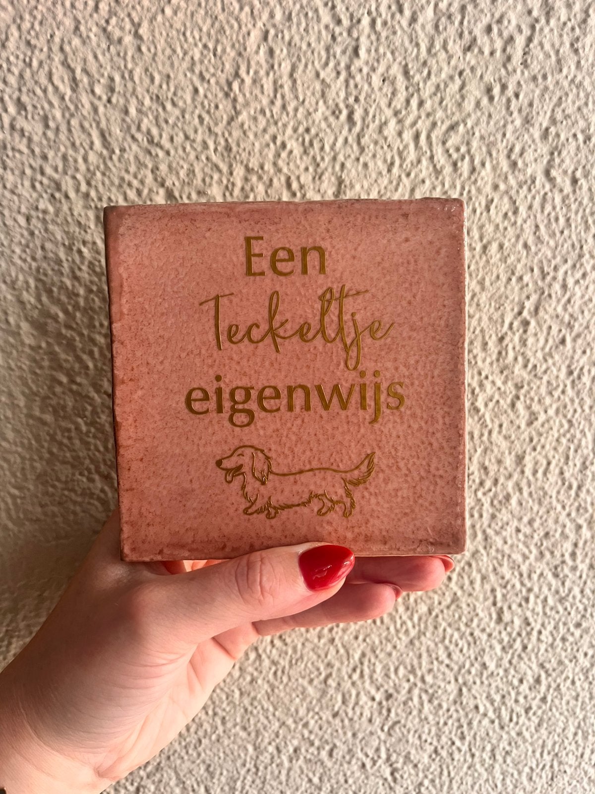 Tegeltje met tekst teckel langharig 10x10, Ophalen of Verzenden, Nieuw