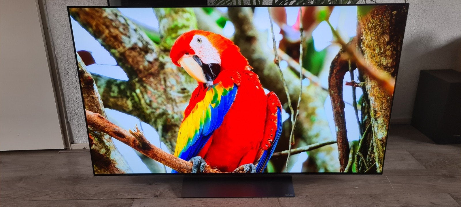 LG OLED evo C4 – 48″ 4K OLED Smart TV – 100Hz (max. 144Hz)