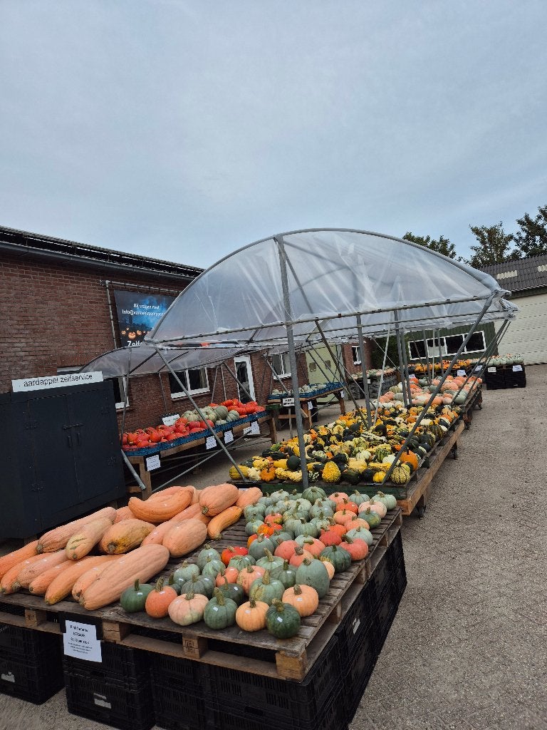 Pompoenen, Ophalen, Nieuw