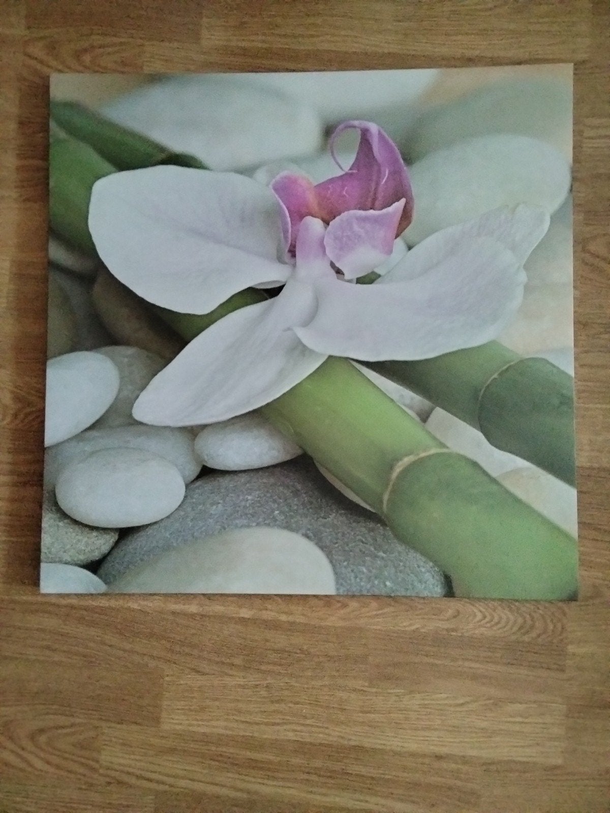 Mooi. Canvasdoek orchidee 58 bij 58, Ophalen of Verzenden