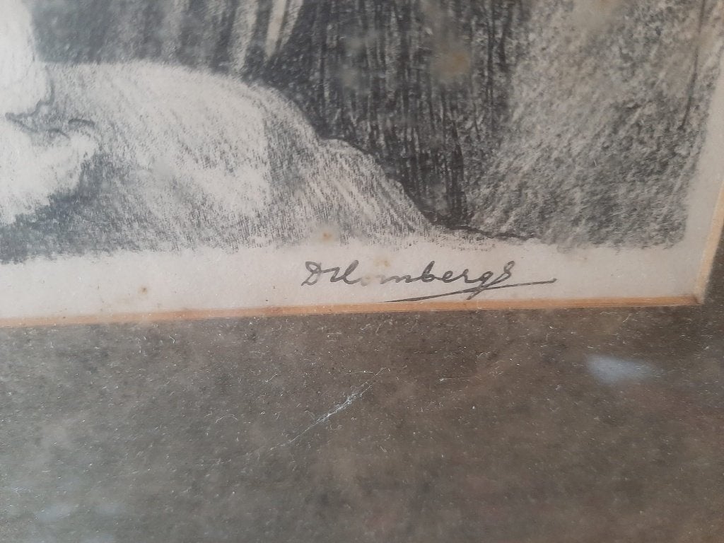 Litho Zeearend Dirk Homberg, Gesigneerd, Ophalen, Dieren en Natuur, Lithografie