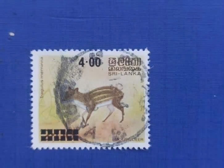 Postzegel Sri Lanka 1981 zegel Dieren 08-07, Ophalen of Verzenden, Gestempeld, Zuid-Azië
