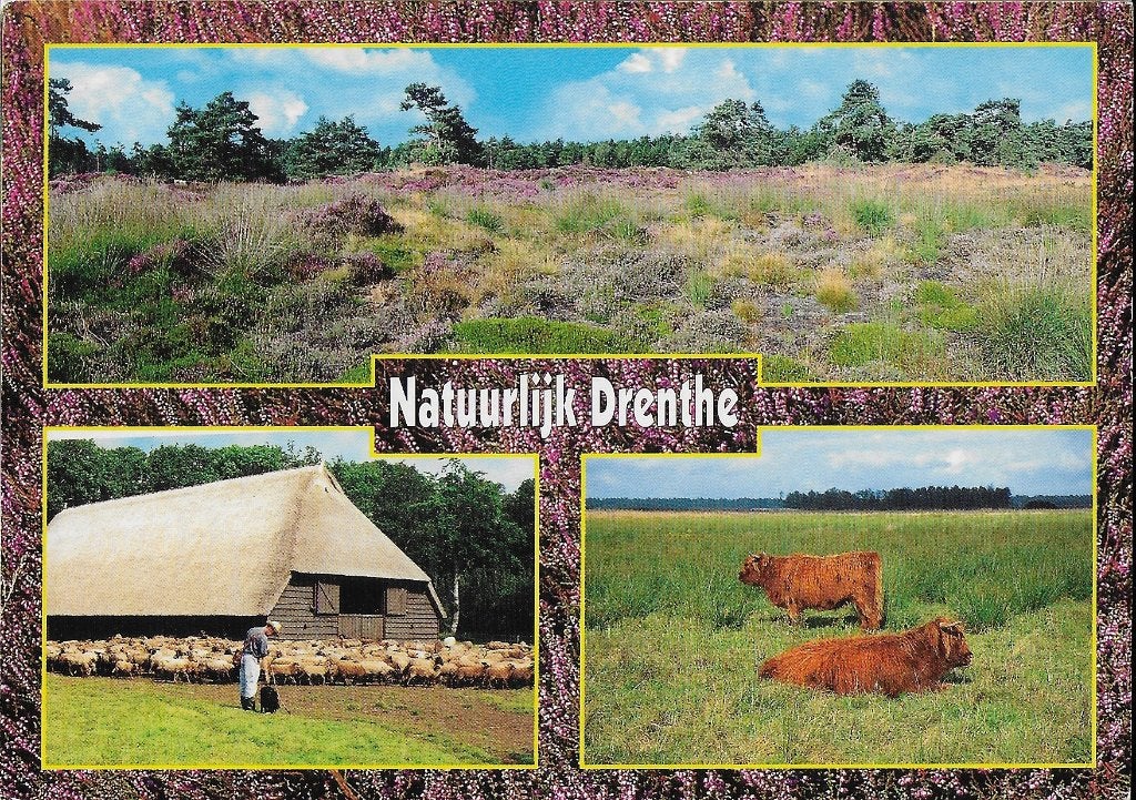 Q563 gelopen ansichtkaart natuurlijk drenthe, Verzamelen, Ophalen of Verzenden, 1980 tot heden, Gelopen, Drenthe
