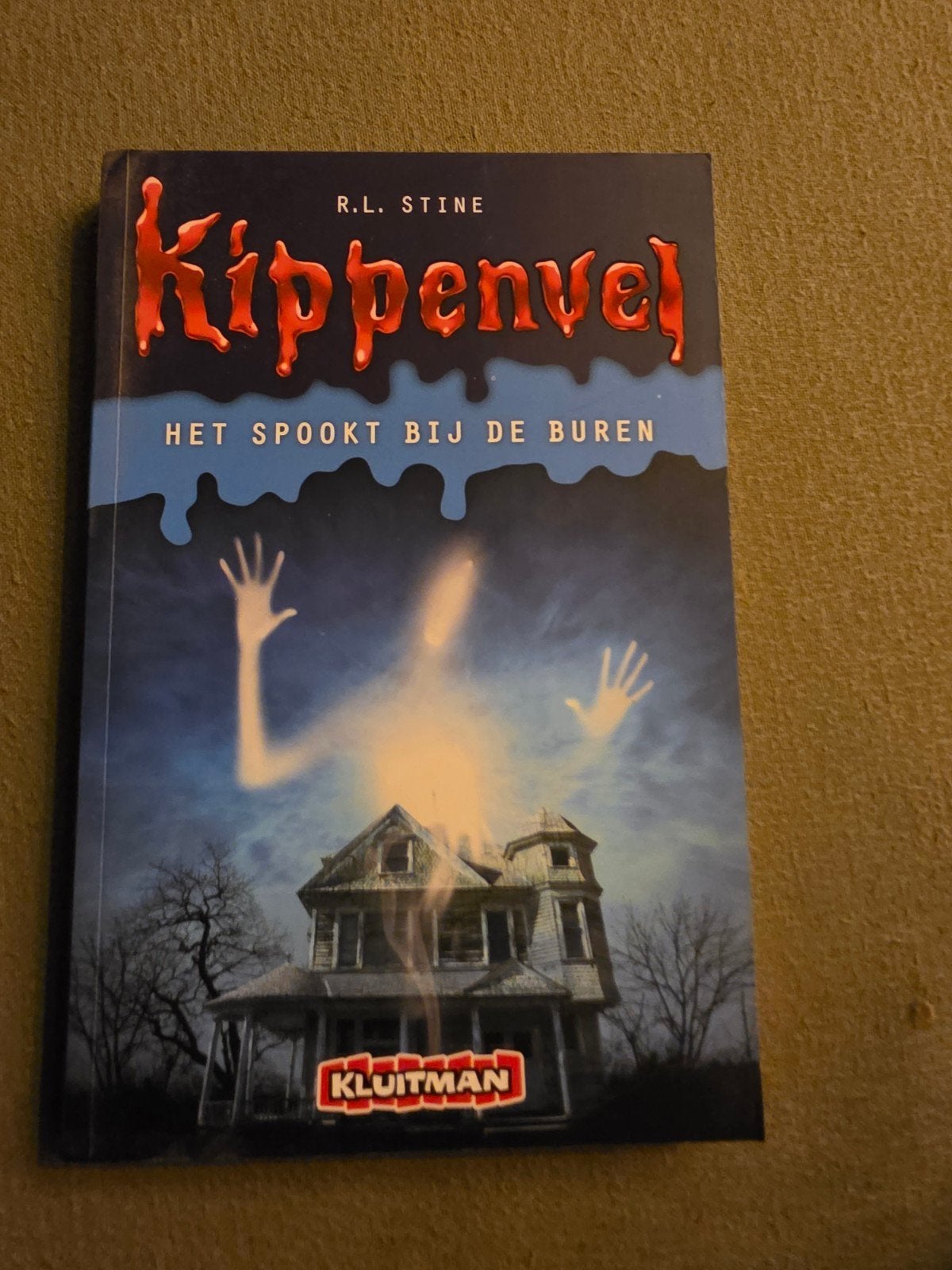 Kippenvel R.L. Stine - Het spookt bij de buren, Boeken, Ophalen of Verzenden, Zo goed als nieuw, R.L. Stine