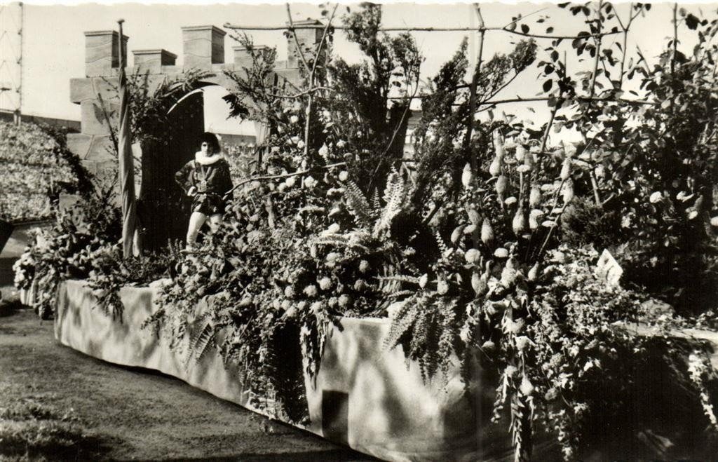 Bloemencorso Aalsmeer Je Maintiendrai - Frederik Hendrik - D, Ophalen of Verzenden, 1940 tot 1960, Ongelopen, Noord-Holland