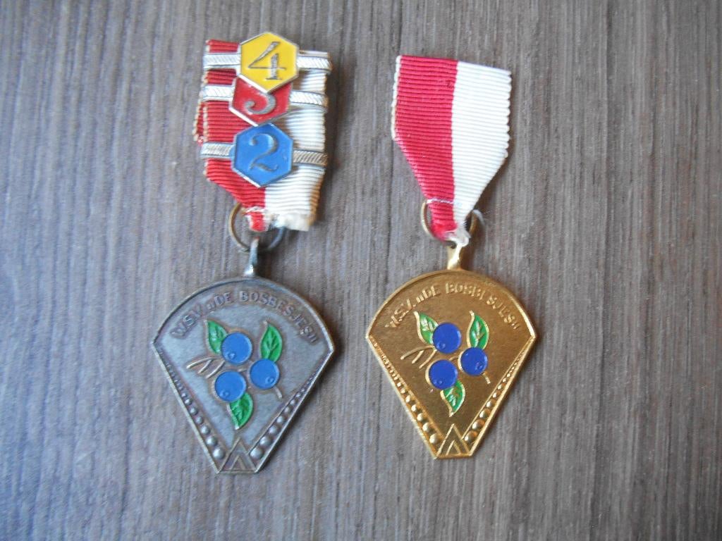 Medaille W.S.V. De Bosbesjes Groesbeek (type 2), Postzegels en Munten, Ophalen of Verzenden, Overige materialen, Nederland