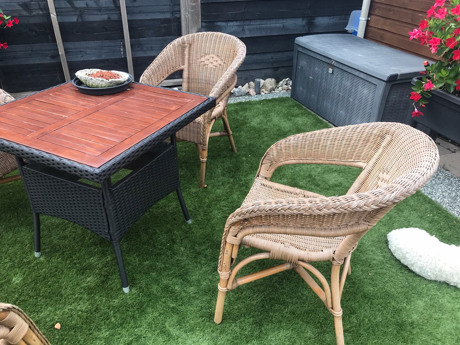 Mooie rotanstoelen, Ophalen, 4 zitplaatsen, Gebruikt, Rotan