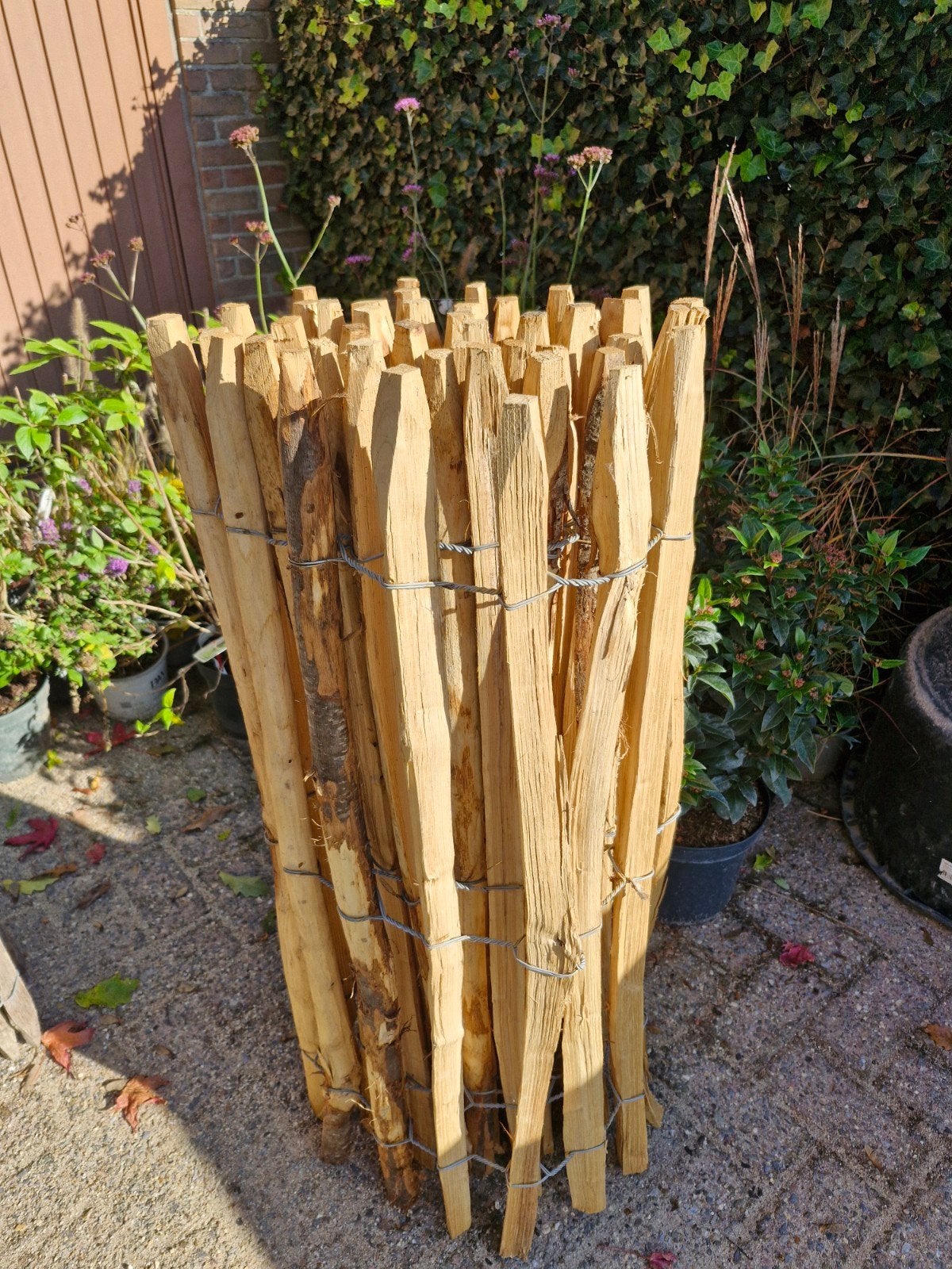 Nieuw Kastanje Schapenhek - 1m hoog, 5m lang, Ophalen, Nieuw, Hout, Tuinhek