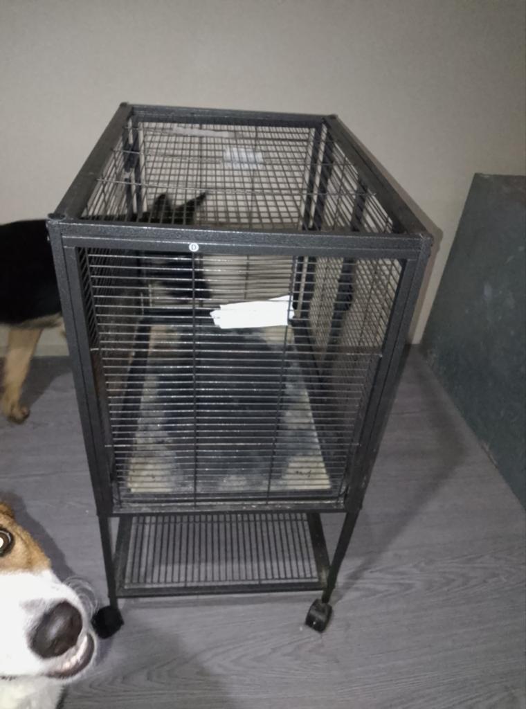 Knaagdier kooitje, Ophalen, Minder dan 75 cm, Kooi, Minder dan 60 cm