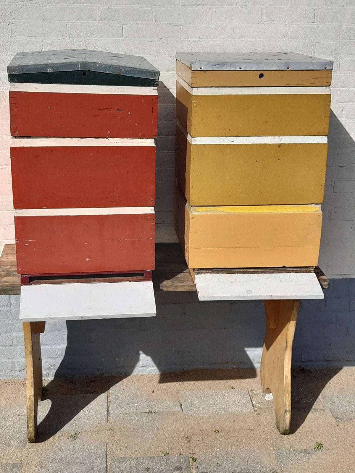 bijen kasten simplex, Dieren en Toebehoren, Bijen