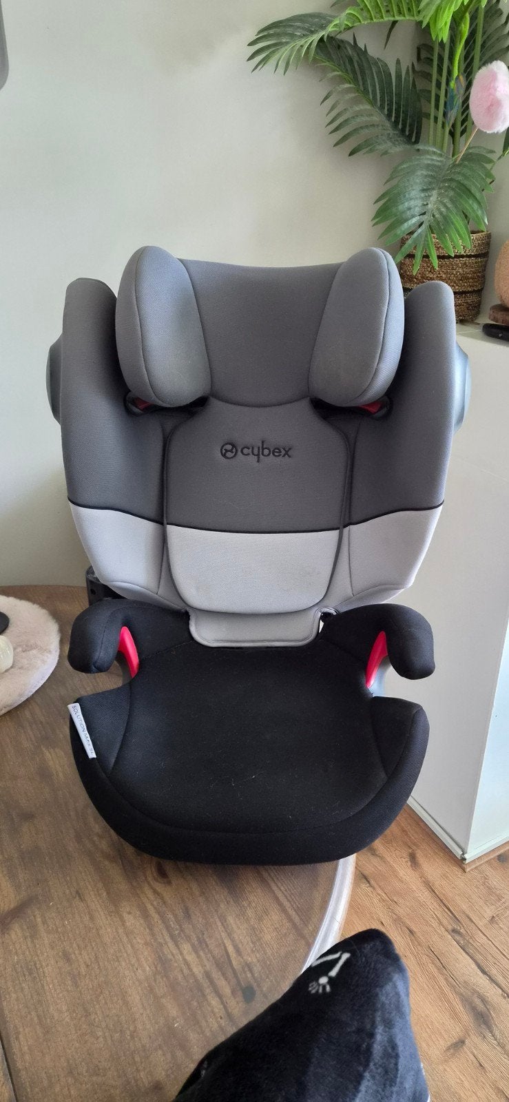 Cybex Solution Rabbit dark grey autostoel groep 2/3 isofix, Gebruikt, 15 t/m 36 kg, Afneembare rugleuning, Isofix