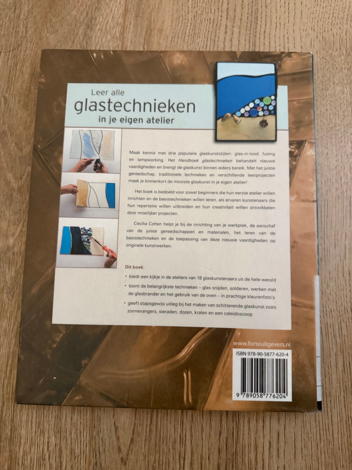 Handboek Glastechnieken: Traditioneel en Modern Glaswerk, Ophalen of Verzenden, Gelezen, Overige onderwerpen