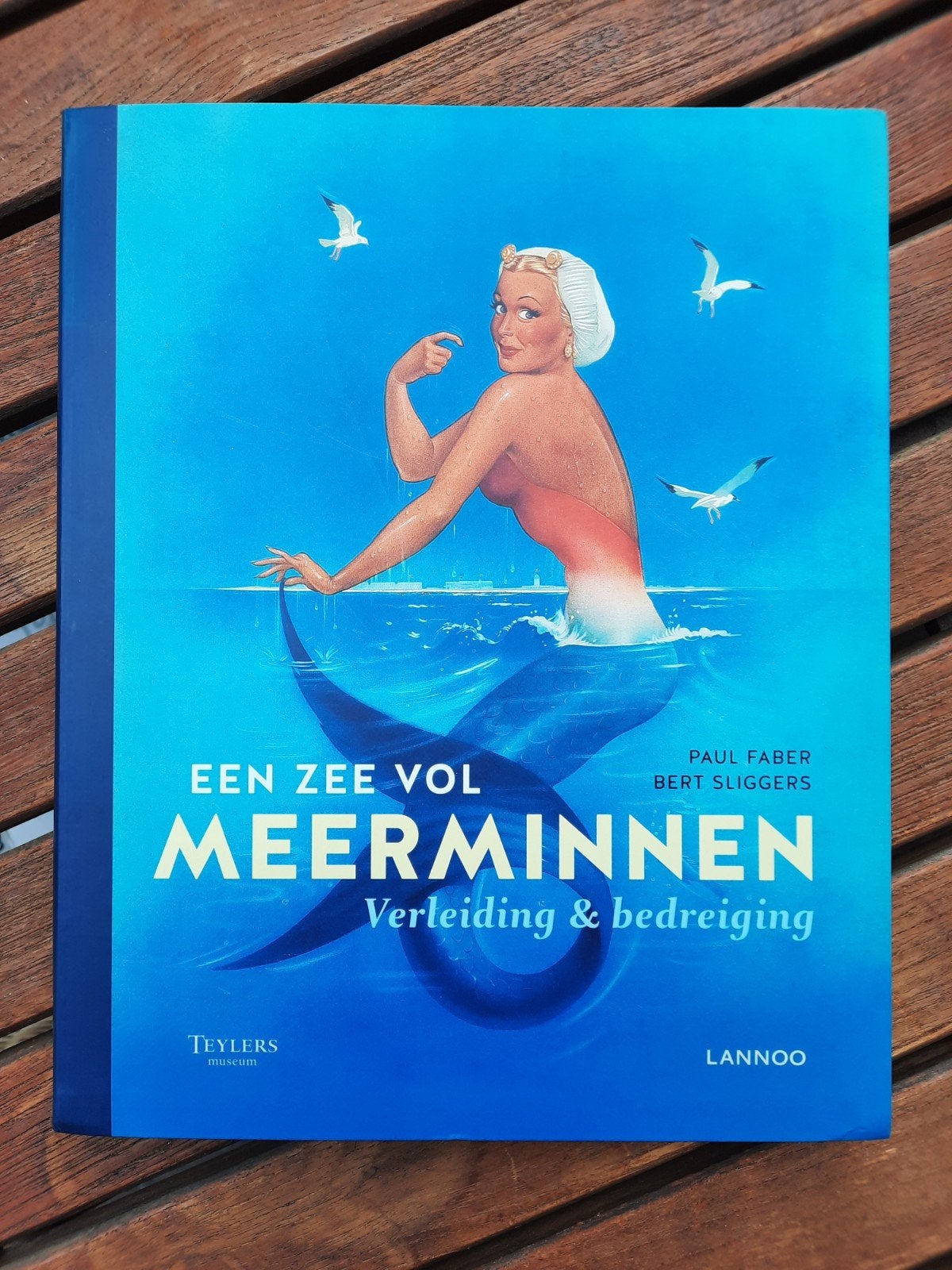 Een Een zee Vol Meerminnen(boek): Paul Faber /Bert Sliggers, Boeken, Ophalen of Verzenden, Zo goed als nieuw, Paul Faber, Bert Sliggers