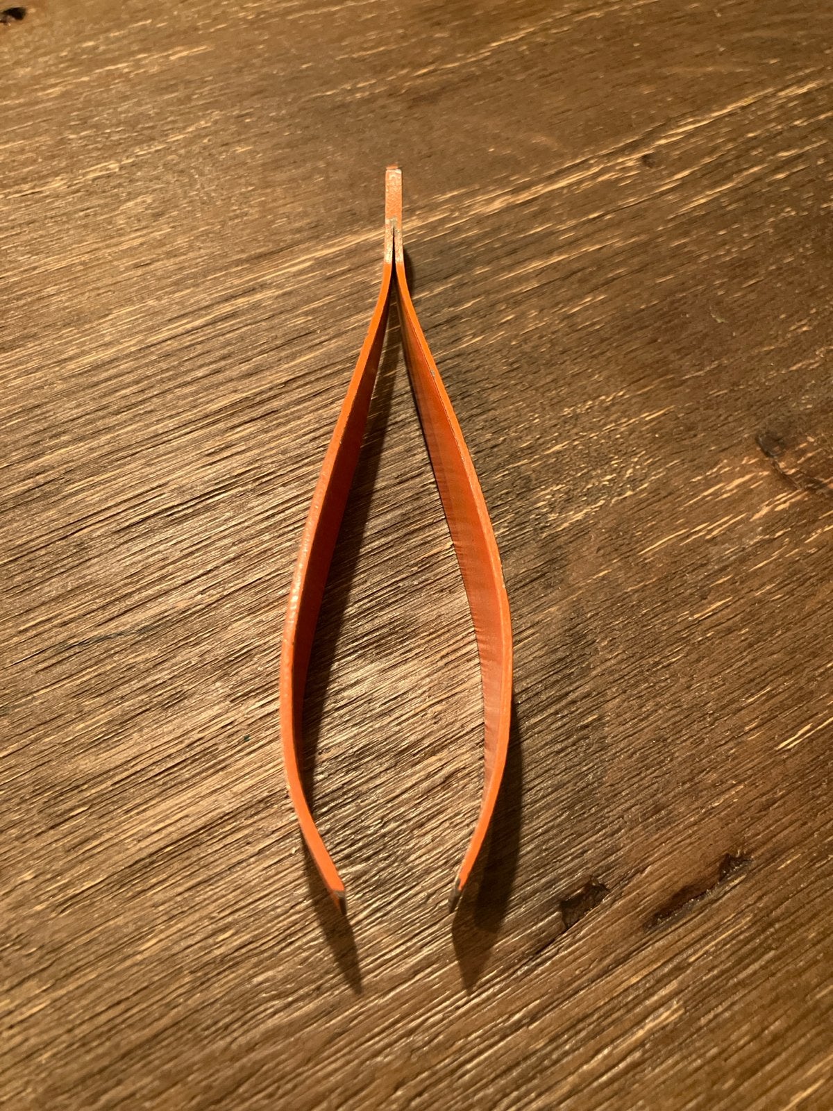 Oranje vispincet / gratentang, Overige typen, Verzenden, Nieuw, Oranje