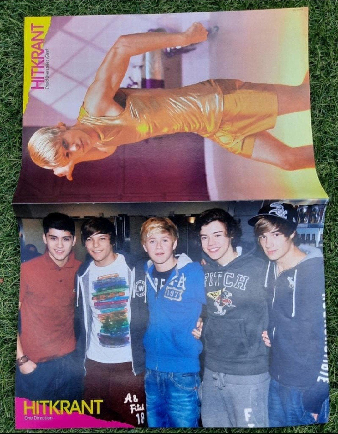 Poster 2x A4 Hitkrant 2011 One Direction Go Back to the Zoo, Ophalen of Verzenden, Gebruikt, A1 t/m A3, Muziek