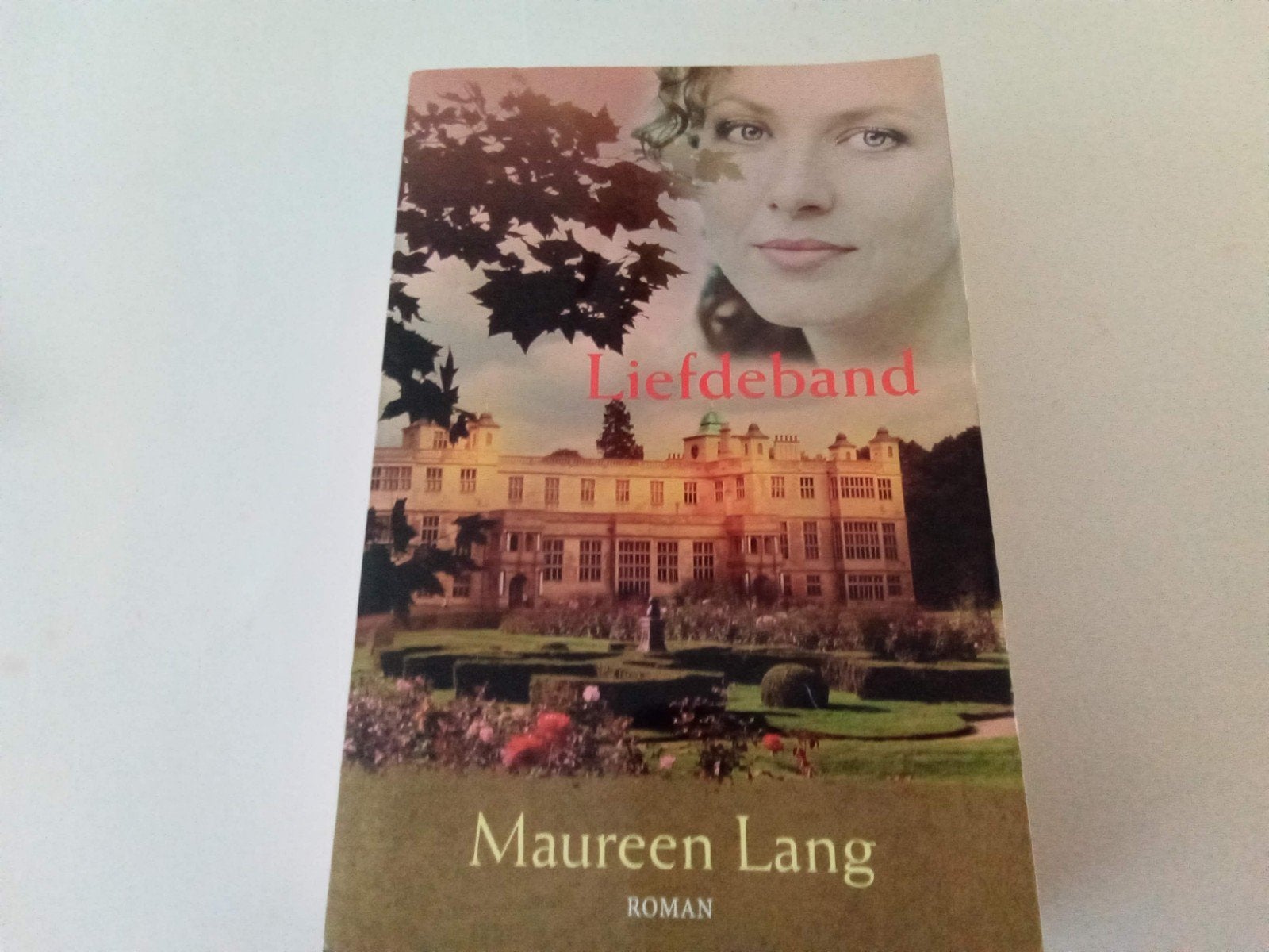 Liefdeband ( Maureen Lang, Boeken, Ophalen of Verzenden, Zo goed als nieuw