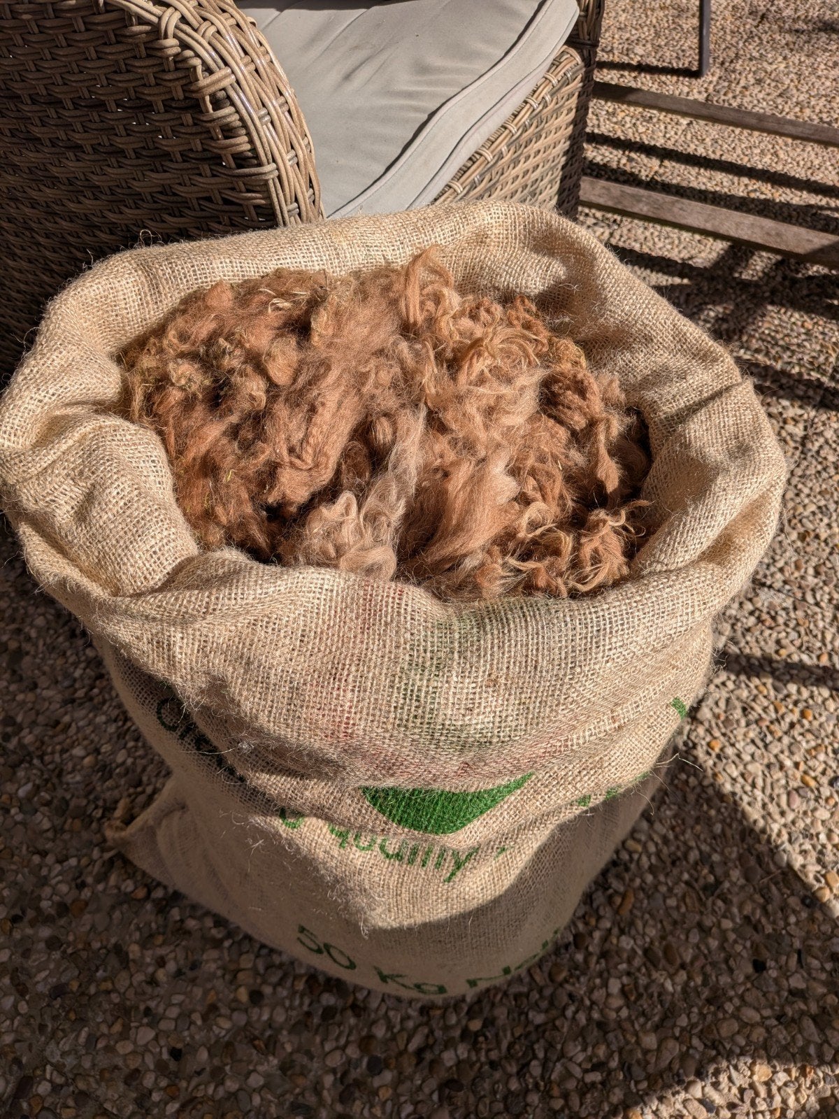 Alpaca wol, Ophalen of Verzenden, Nieuw