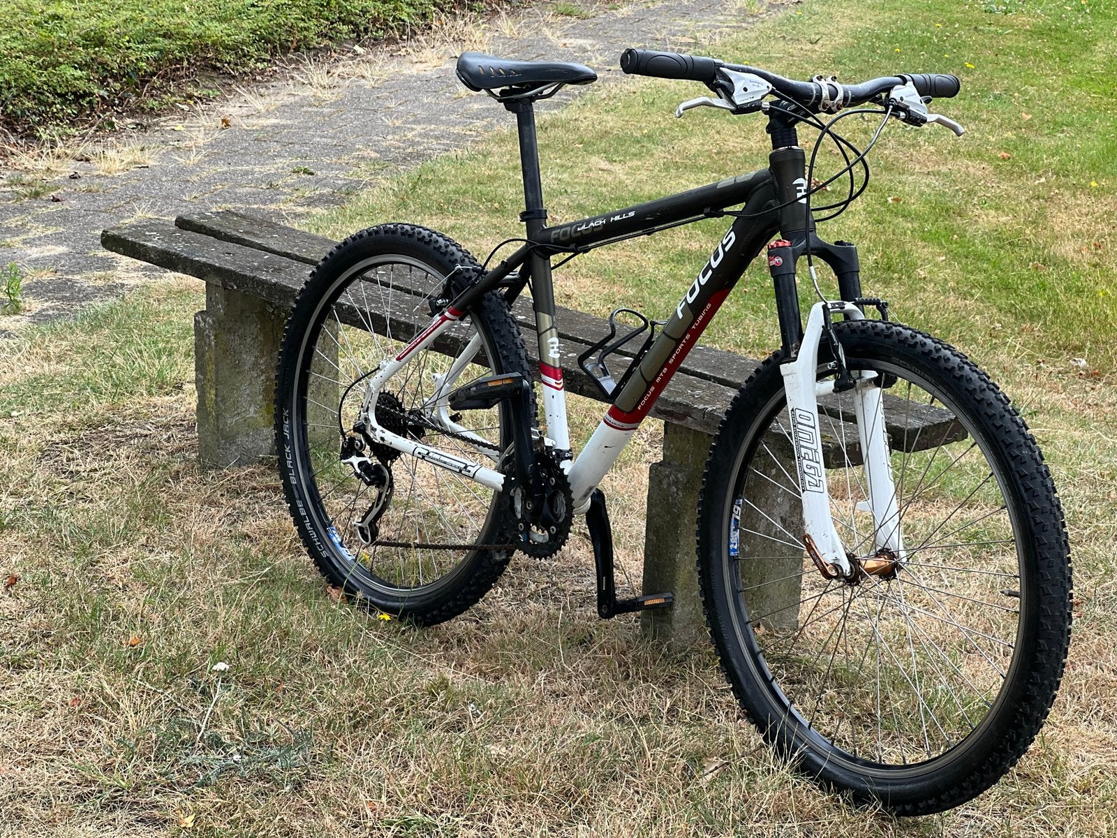 Focus Black Hills Mountainbike framemaat M-L, Gebruikt, Hardtail, 53 tot 57 cm, Ophalen