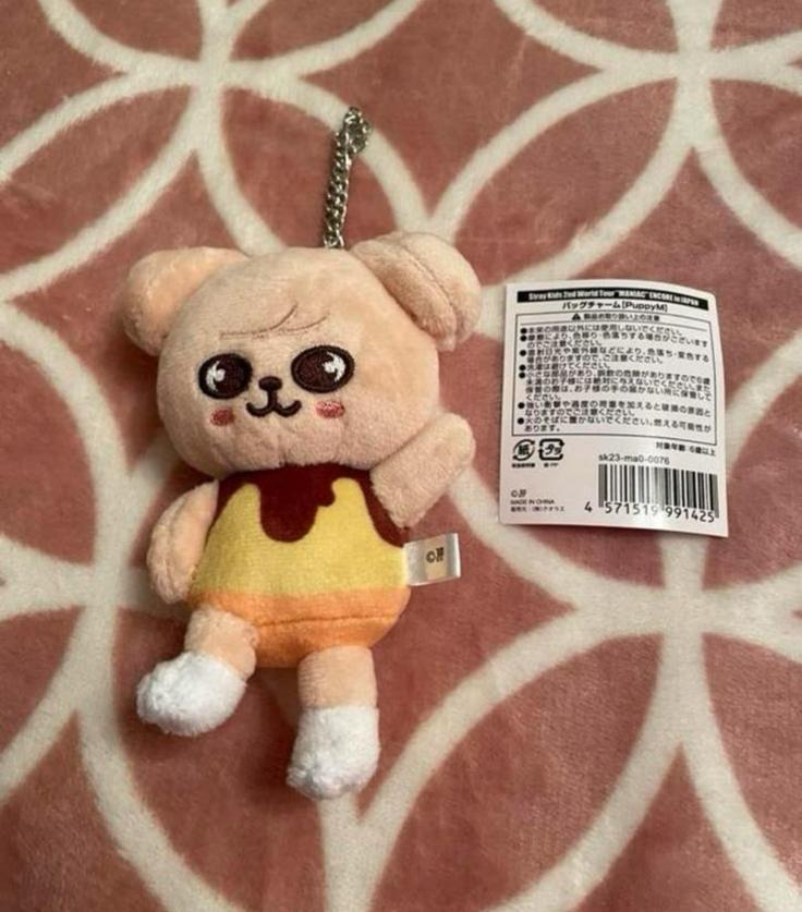 Stray Kids SKZOO PuppyM bag charm plush, Ophalen of Verzenden, Nieuw