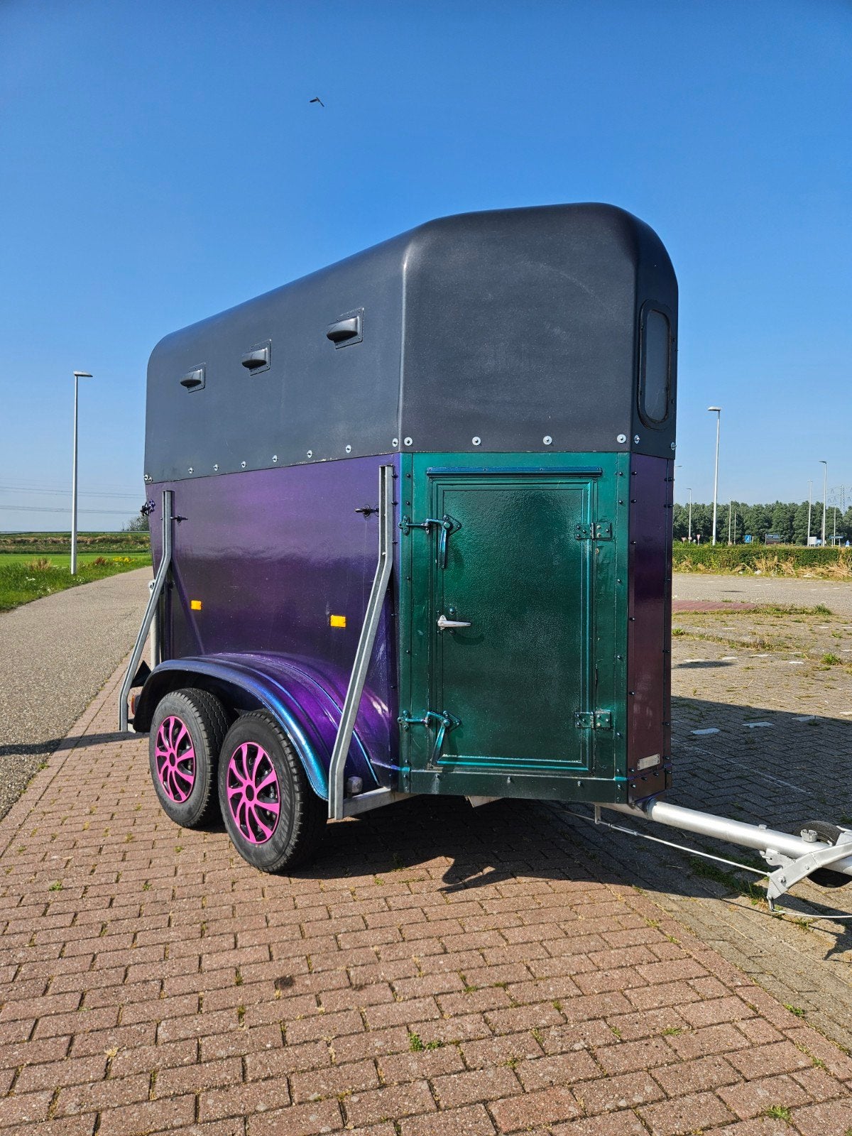 Opvallende 1.5 paardentrailer, Auto diversen, Aanhangers en Bagagewagens, Ophalen, Gebruikt
