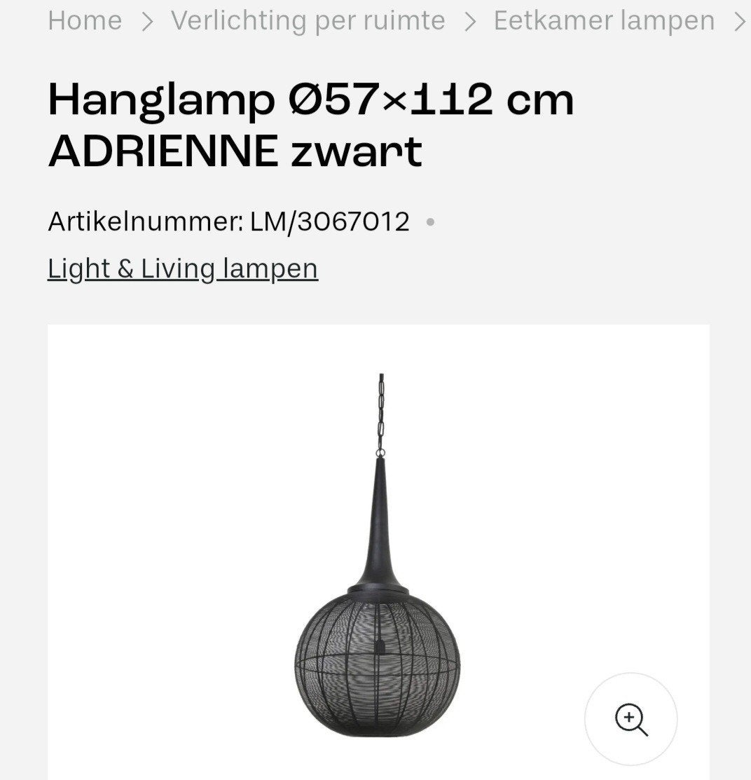 2 Zwarte hanglampen van Light & Living, Huis en Inrichting, Lampen | Hanglampen, Ophalen of Verzenden, Zo goed als nieuw