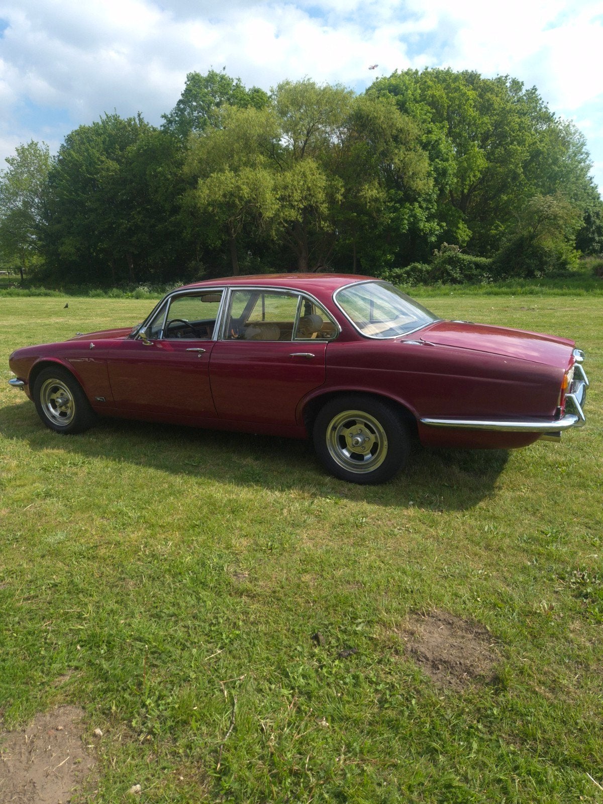 Jaguar XJ6 1976 Rood, SWB, foto 6