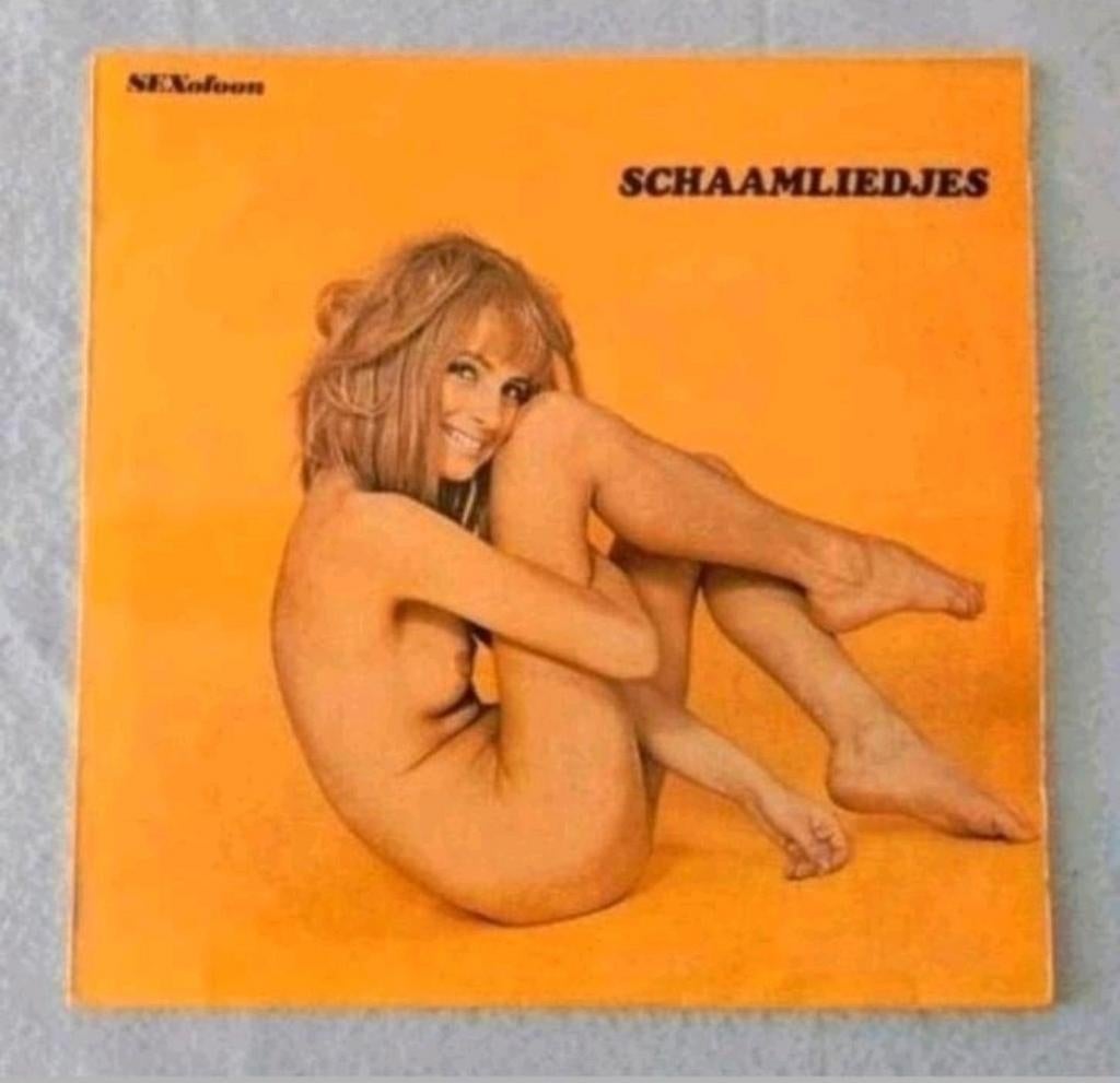 Lp grote kees en kleine annie schaamliedjes, Ophalen of Verzenden