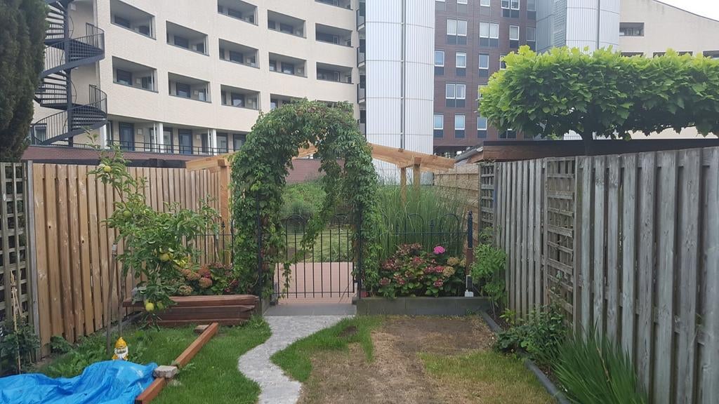 Complete Tuin incl. Boot, Pergola, Vloender, Loungeset, Ophalen, Gebruikt, Hout