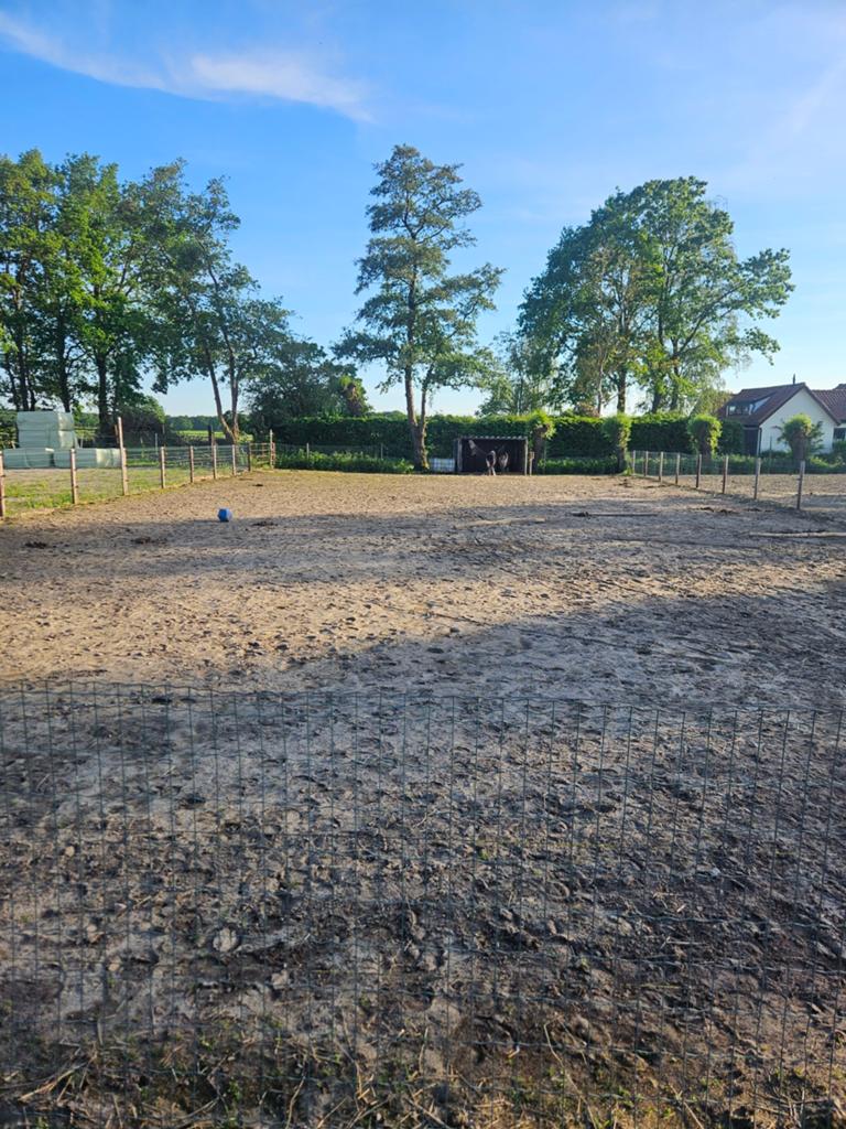 Shetland weide met inloopstal, Stalling