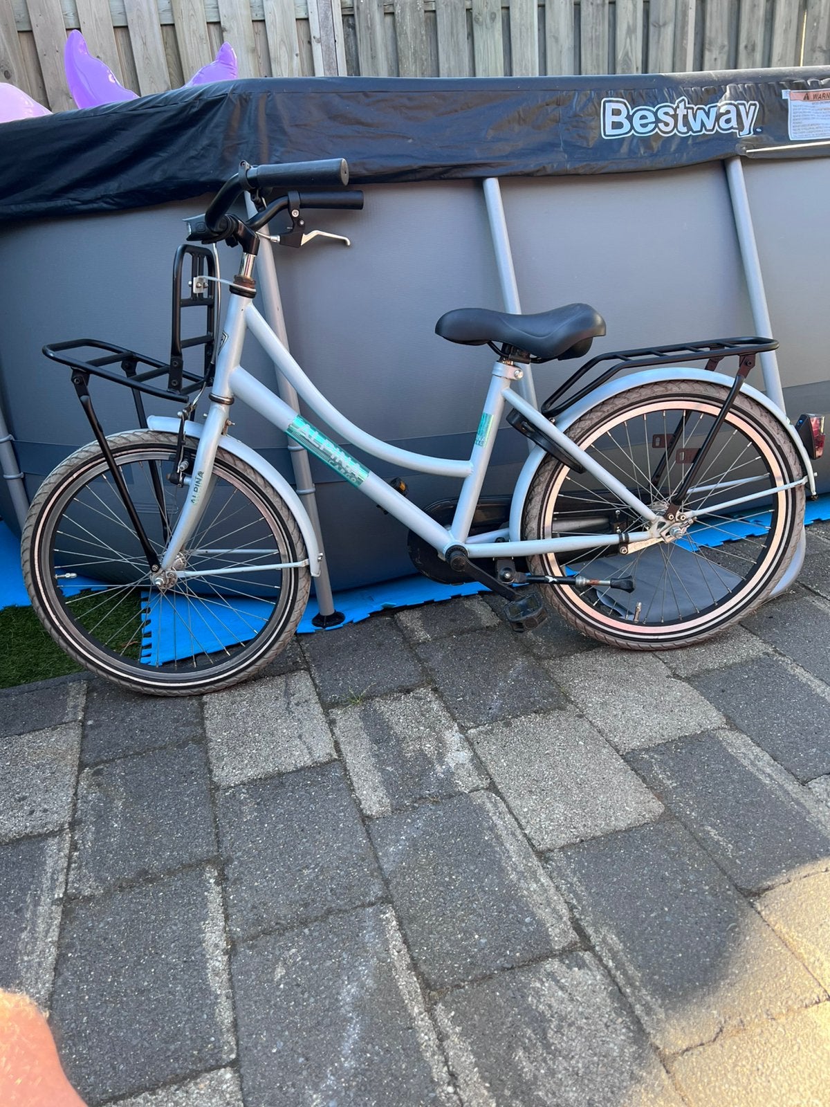 Alpina Cargo 20 inch kinderfiets, Minder dan 47 cm, Ophalen, Gebruikt