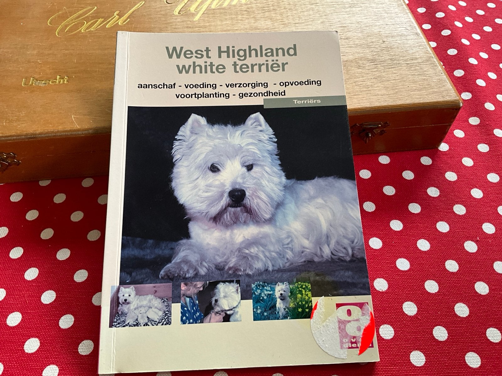 West Highland White Terriër Boek - Alles over het ras, Ophalen of Verzenden, Gelezen, Honden