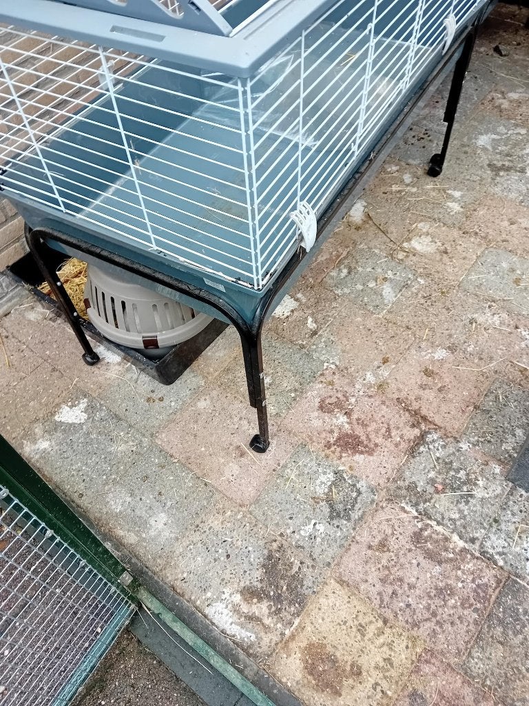 2 cavia/konijnen kooien op standaard, Kooi, Cavia, Ophalen, Minder dan 60 cm