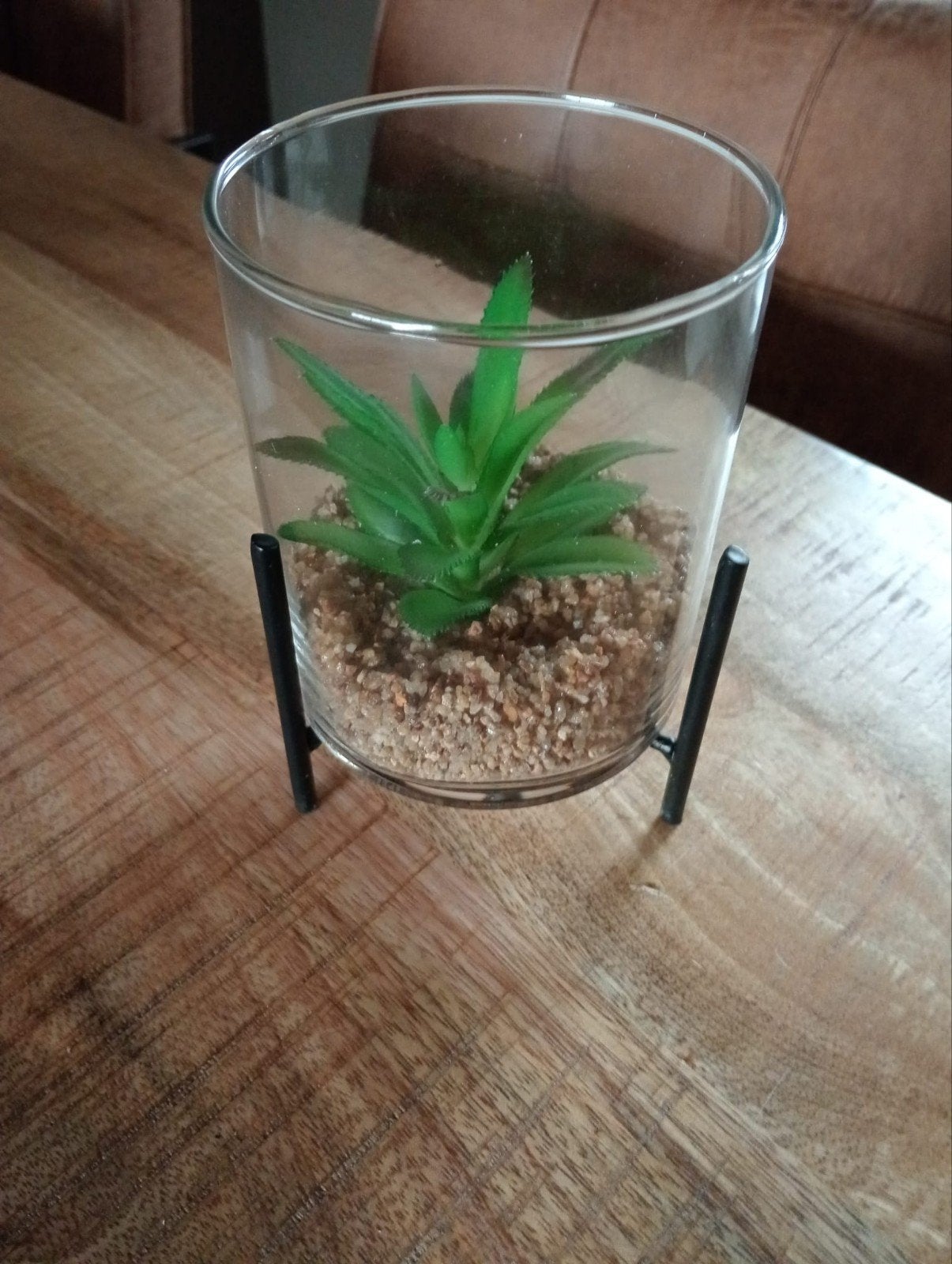 Decoratieve kunstplant in glazen pot met standaard, Groen, Nieuw, Ophalen of Verzenden, Modern