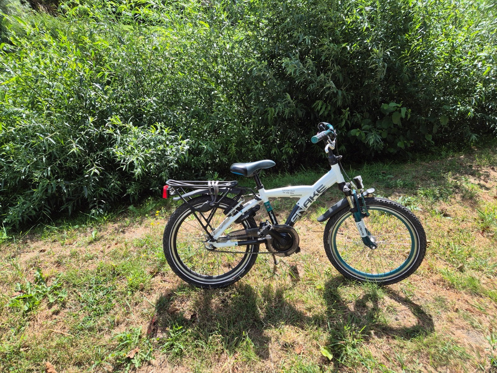 Batavus Loekie Snake kinderfiets 20 inch, Fietsen en Brommers, Fietsen | Vouwfietsen, Ophalen, Gebruikt, Batavus, Terugtraprem