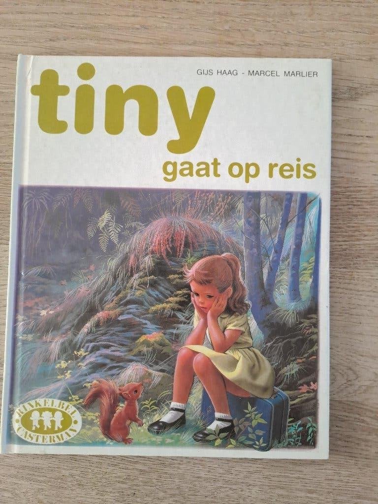 TINY GAAT OP REIS. GIJS HAAG., Ophalen of Verzenden, Gelezen, Gijs Haag, Fictie algemeen