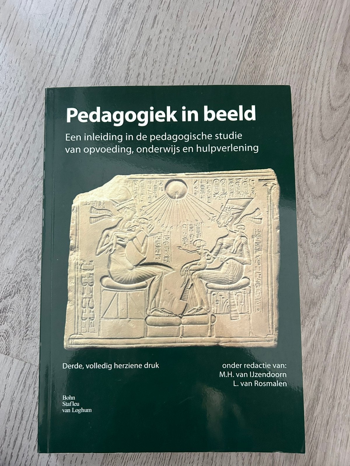 Pedagogiek in beeld boek, Ophalen of Verzenden, Beta, Zo goed als nieuw, WO