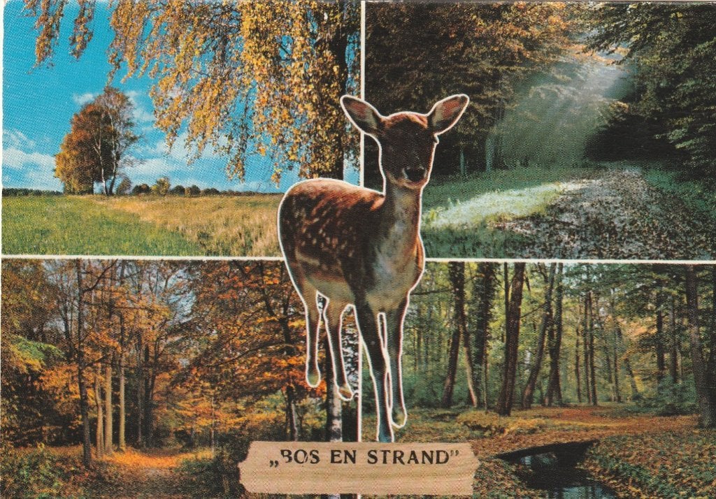 HORST Recreatiecentrum Bos en Strand, Verzenden, 1960 tot 1980, Gelopen, Limburg