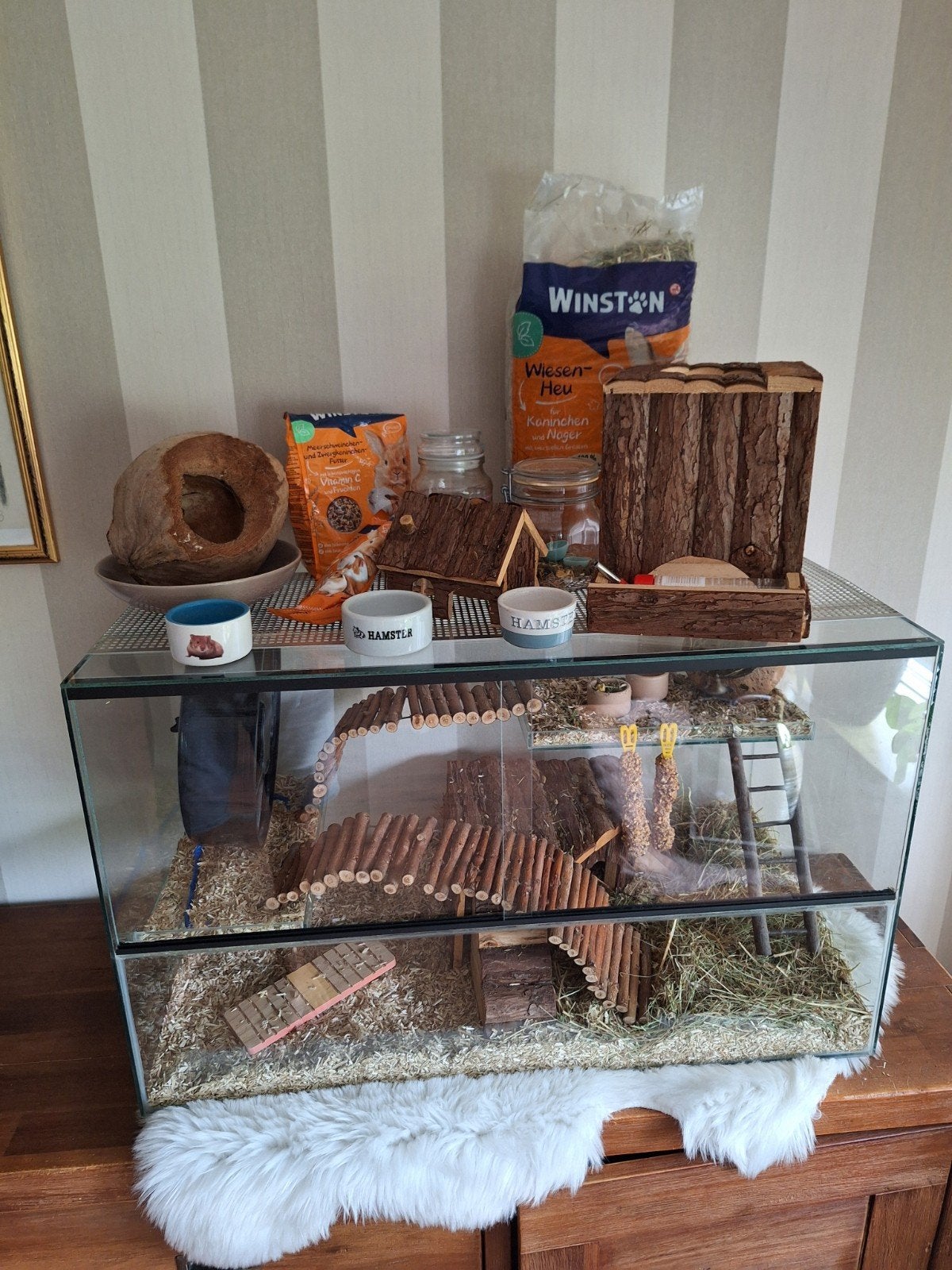 hamsterhok met 2 plateau's en veel toebehoren, Zo goed als nieuw, Hok, 75 tot 110 cm, Ophalen