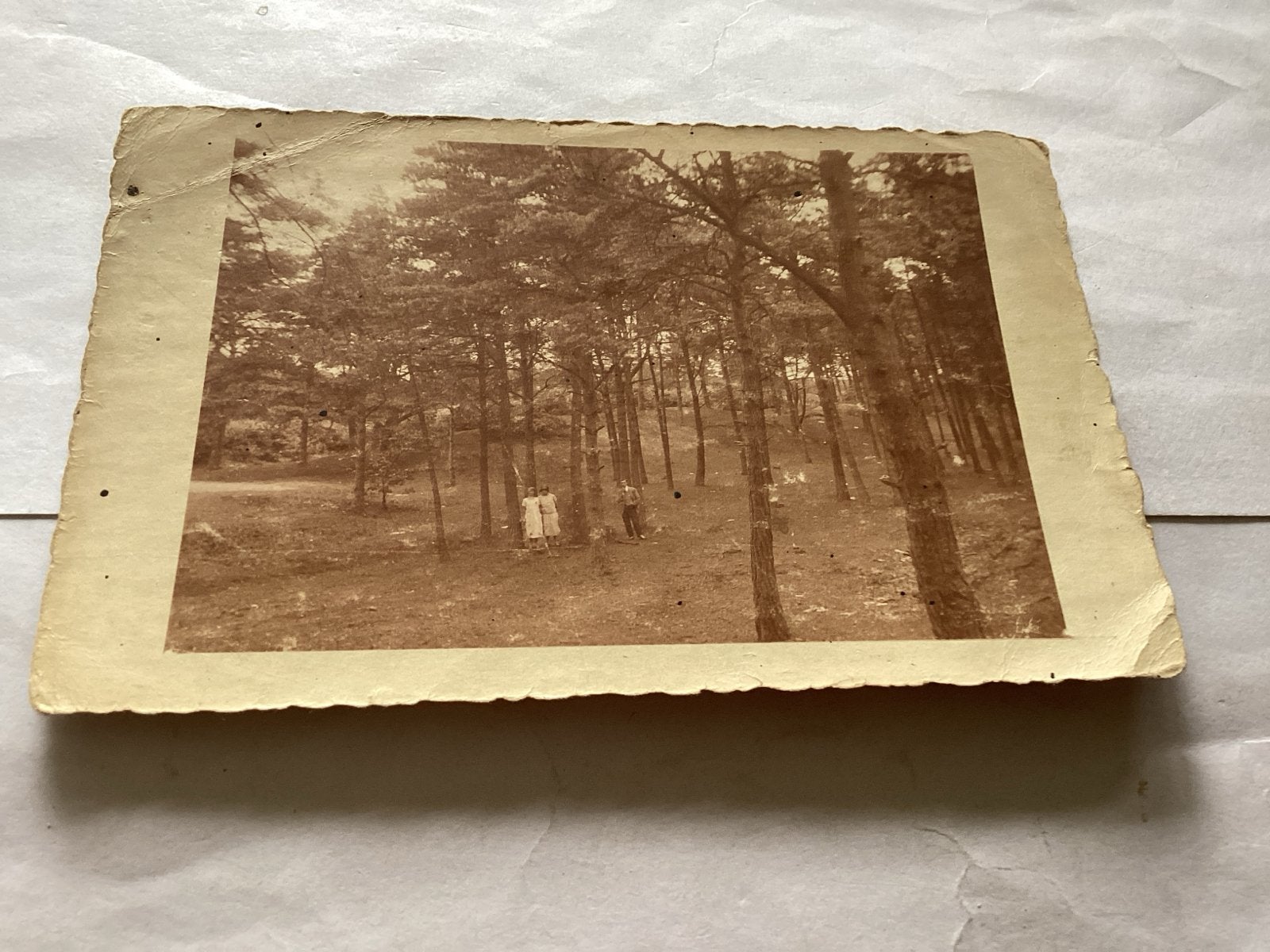 Mensen in het bos, ca. 1940-1960 plaats onbekend, Natuur, Gebruikt, Foto, Ophalen of Verzenden