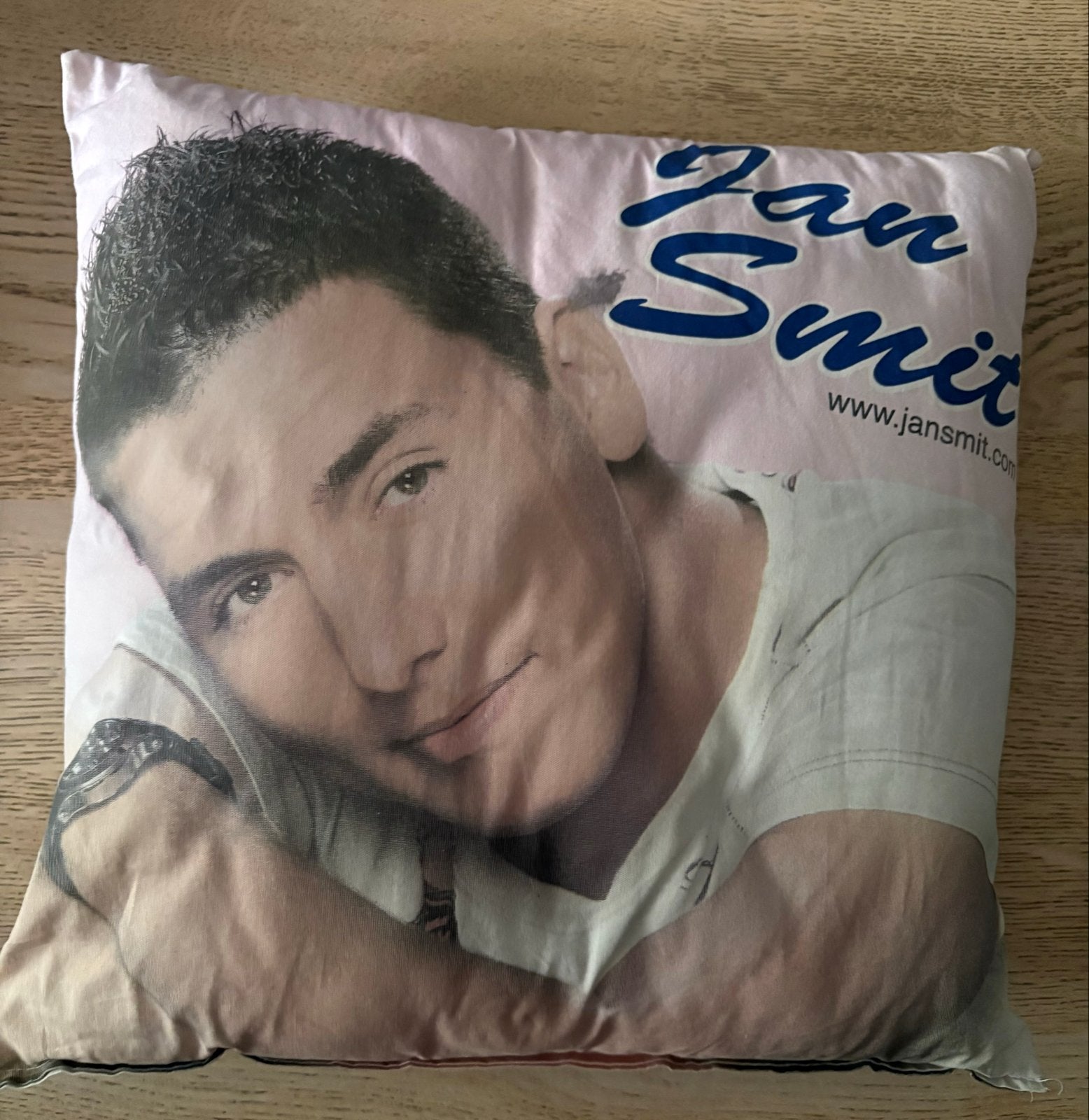 Jan Smit Kussens - Set van 5, Overige merken, Gebruikt, Meerkleurig, Met print
