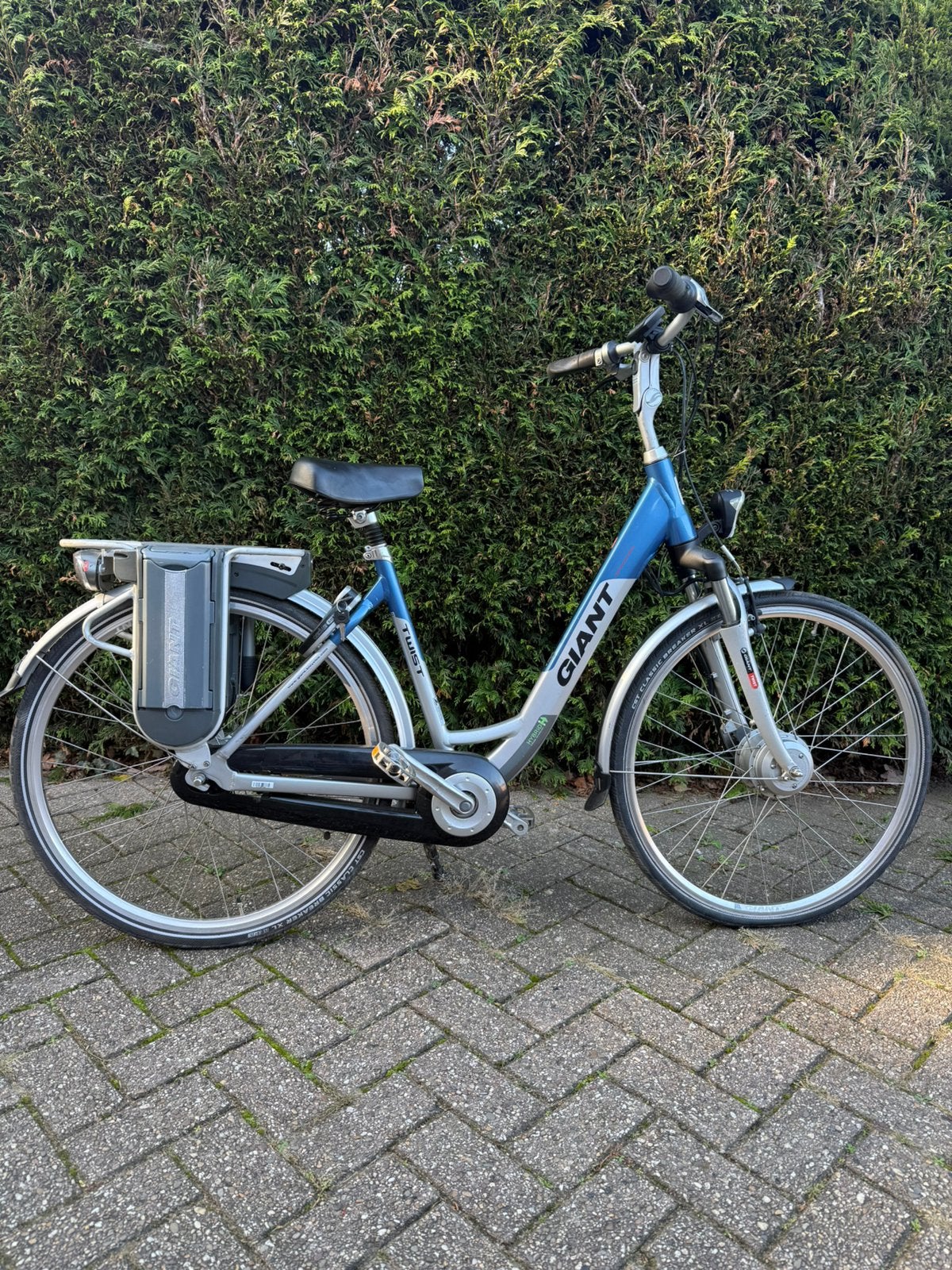 GIANT TWIST nette elektrische fiets, 51 tot 55 cm, Ophalen, Zo goed als nieuw, Overige merken