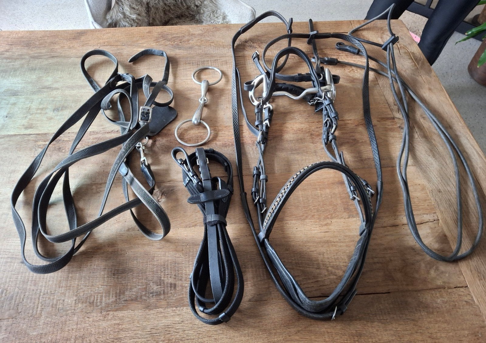 Hoofdstel en toebehoren, Ophalen of Verzenden, Gebruikt, Goud, Bit