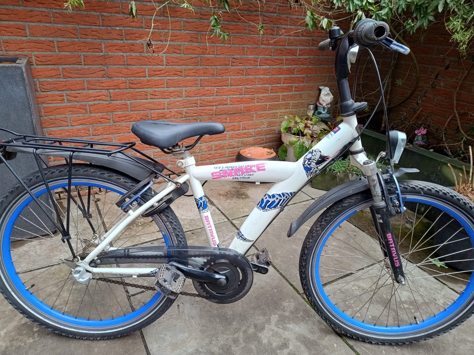 Batavus snake 24 inch, Ophalen, Terugtraprem, Versnellingen, Batavus