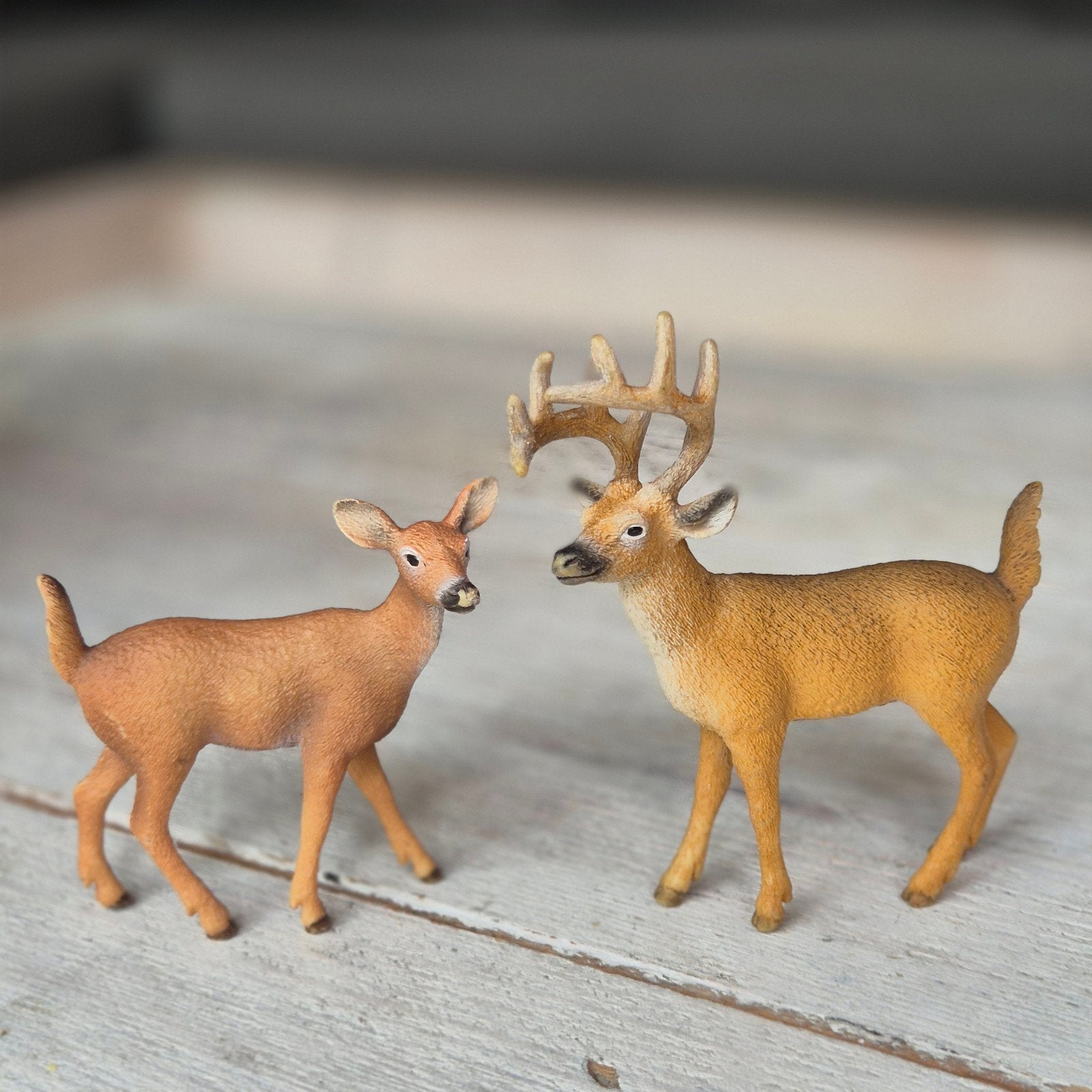 Schleich dieren, Ophalen of Verzenden, Zo goed als nieuw, Wild dier, Beeldje of Figuurtje
