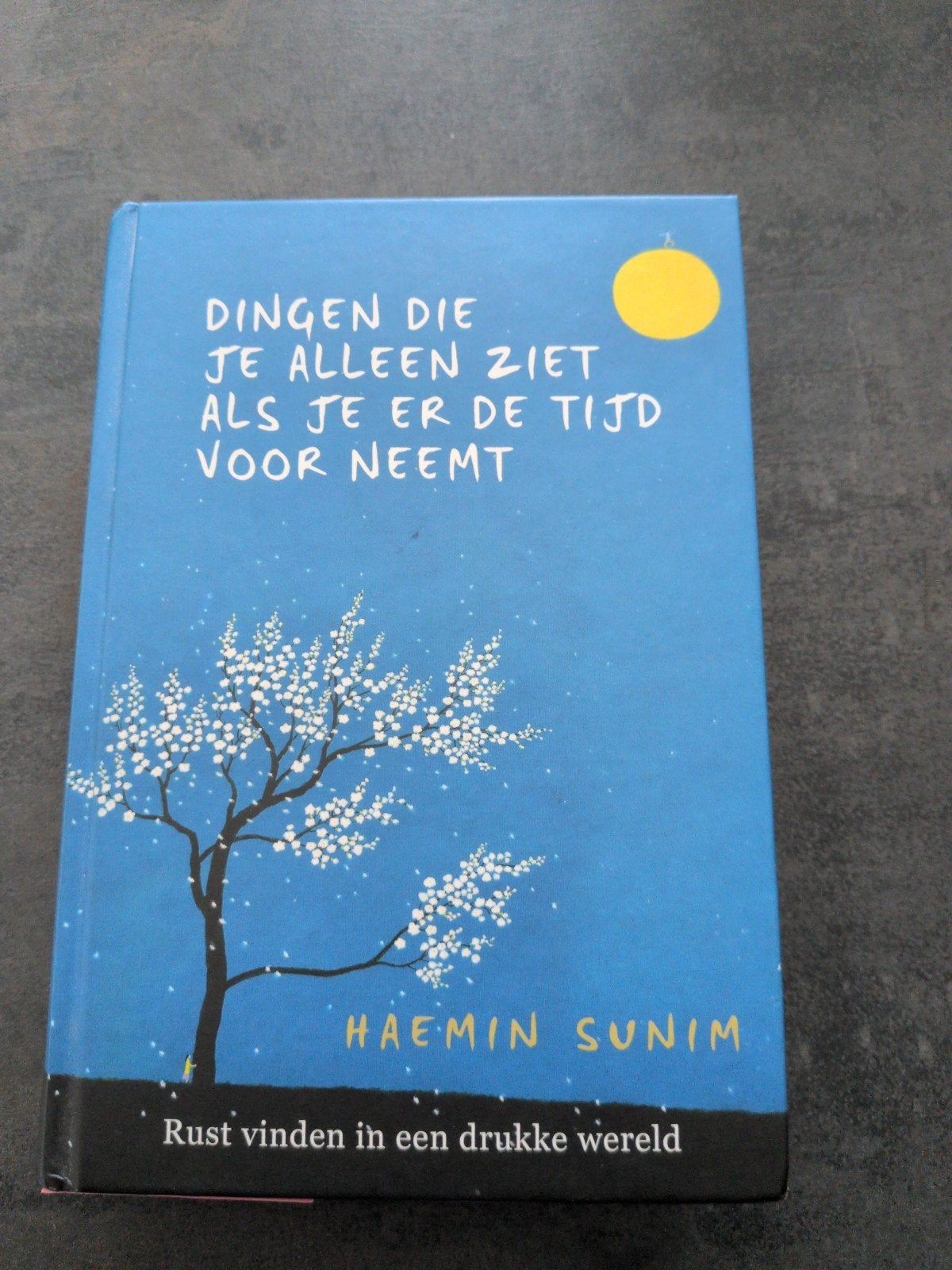 Dingen die je alleen ziet als je er de tijd voor neemt, Ophalen of Verzenden, Zo goed als nieuw, Spiritualiteit algemeen, Overige typen