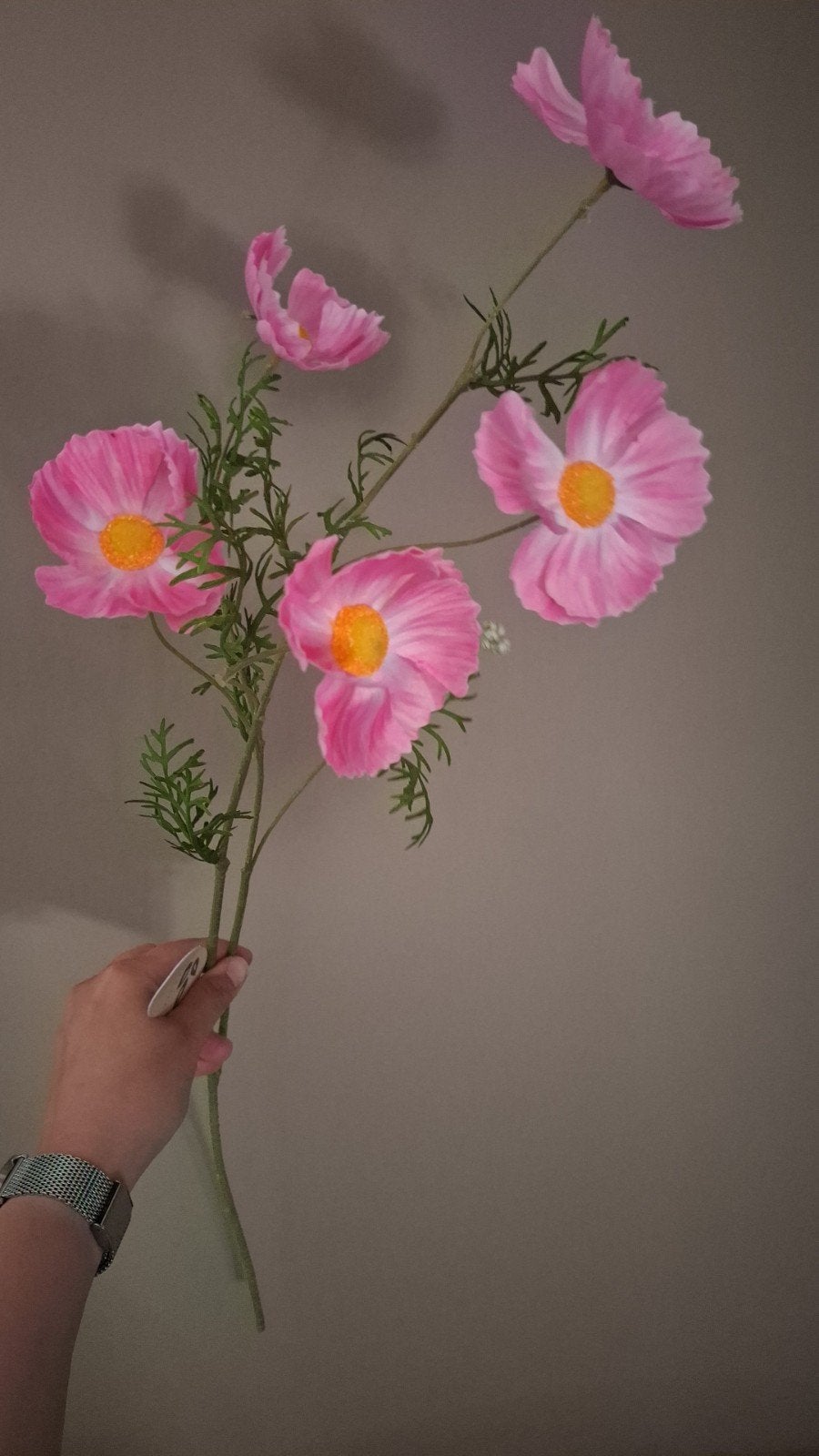 Kunsttaken Cosmos Nieuw, Huis en Inrichting, Binnen, 70 cm, Nieuw, Kunsttak