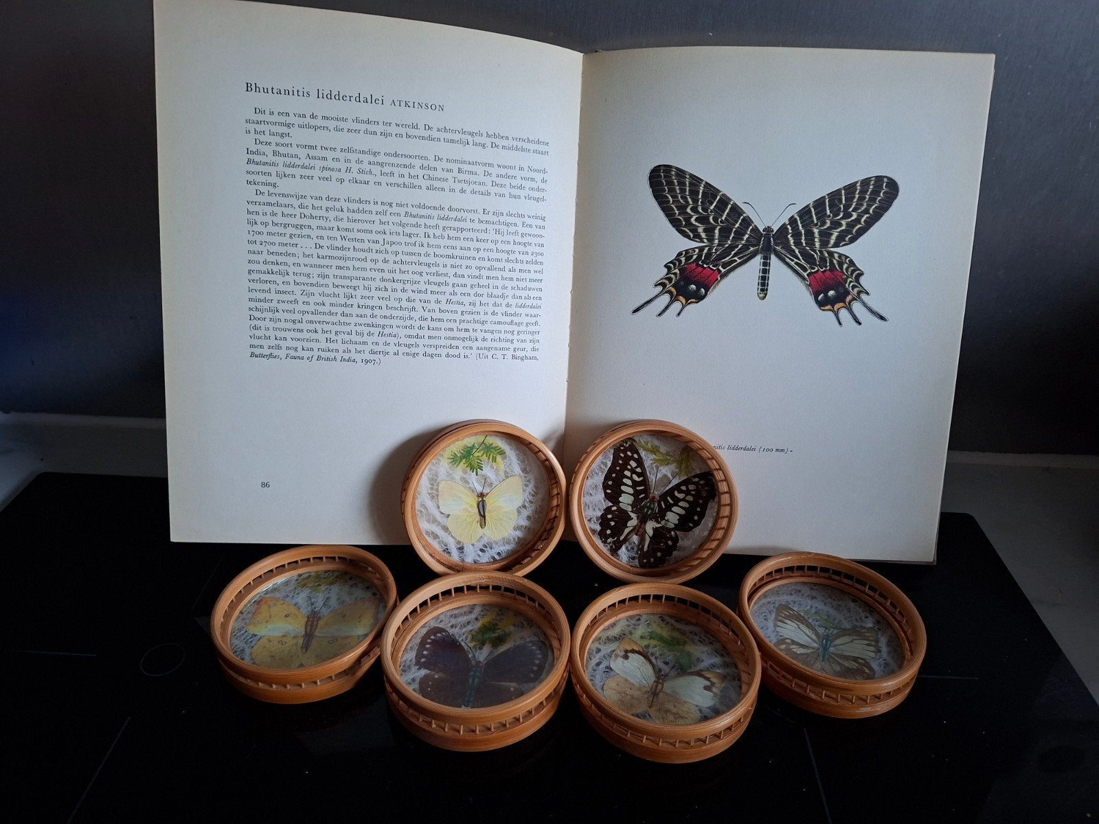 Boek 'De Mooiste Dagvlinders' uit 1963 met 6 vlinder onderze, Antiek en Kunst, Ophalen of Verzenden