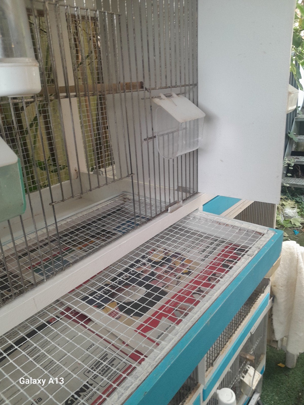 te koop 2 kooien, Dieren en Toebehoren, Ophalen of Verzenden