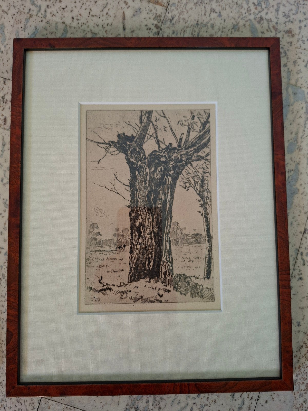 holle wilg door Willem de Zwart, Antiek en Kunst, Ophalen, Ingelijst, 1800 - 1899, Ets